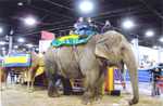 Mariel and Deb ride an elephant